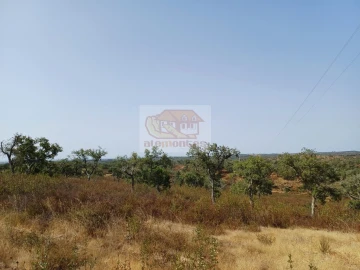 Negócio para Venda em São Francisco da Serra