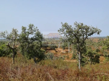 Negócio para Venda em São Francisco da Serra