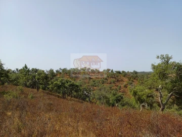 Negócio para Venda em São Francisco da Serra