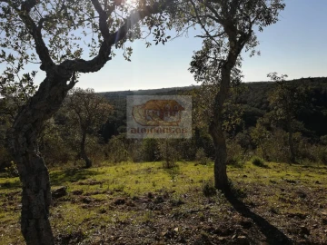 Negócio para Venda em São Francisco da Serra