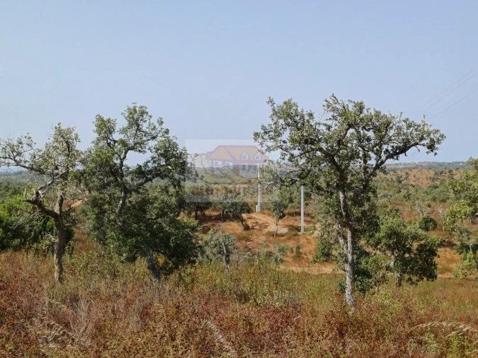 Negócio para Venda em São Francisco da Serra Foto 10