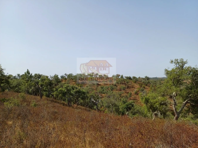 Negócio para Venda em São Francisco da Serra Foto 11