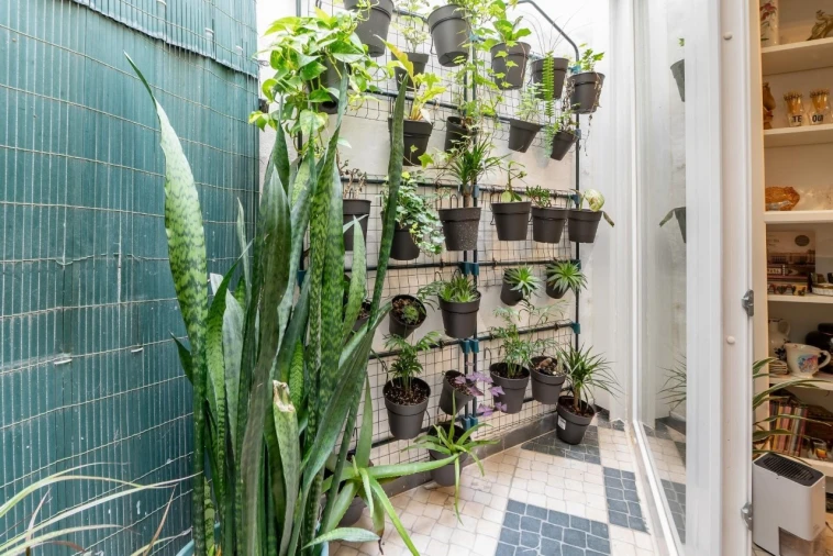 Apartamento T5 para Venda em Santo António Foto 8