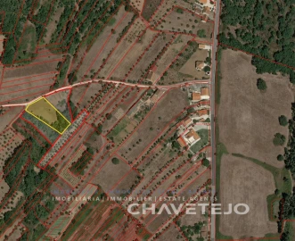 Terreno Agricola ou Rústico para Venda em Areias e Pias
