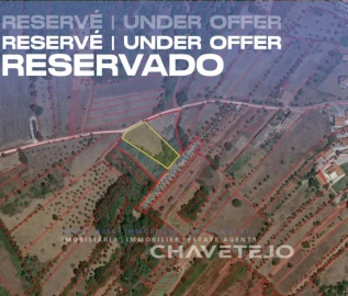 Terreno Agricola ou Rústico para Venda em Areias e Pias