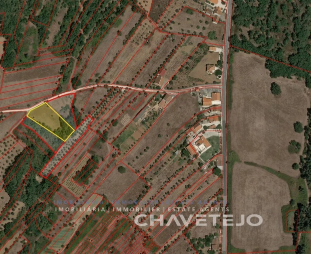 Terreno Agricola ou Rústico para Venda em Areias e Pias Foto 2