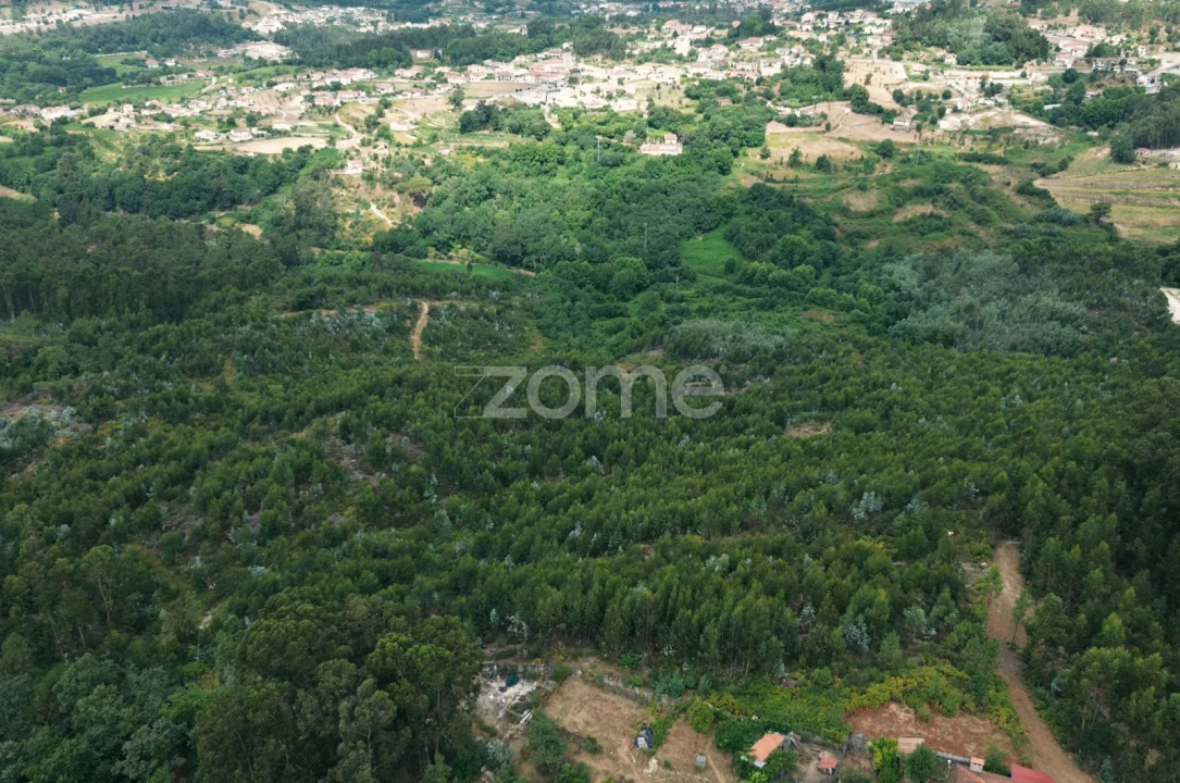Terreno para Venda em Banho e Carvalhosa Foto 1