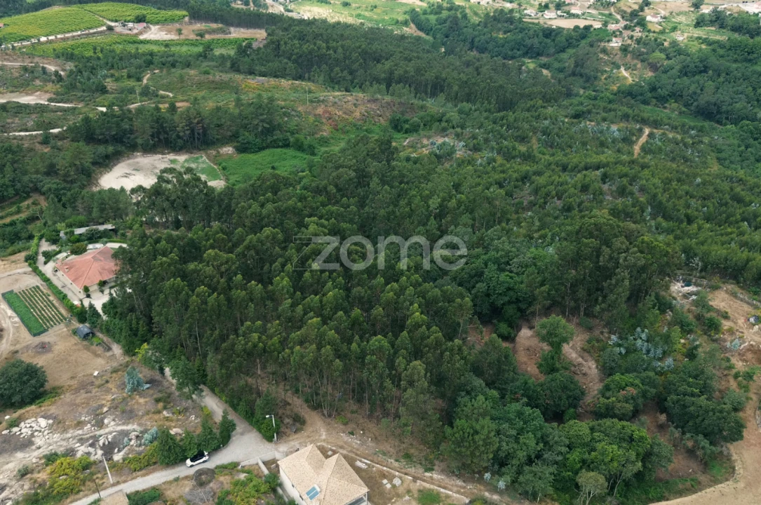 Terreno para Venda em Banho e Carvalhosa Foto 4