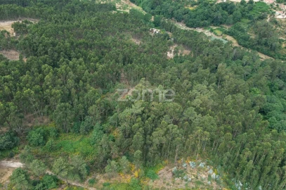 Terreno para Venda em Banho e Carvalhosa