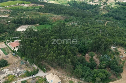 Terreno para Venda em Banho e Carvalhosa