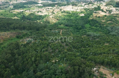 Terreno para Venda em Banho e Carvalhosa