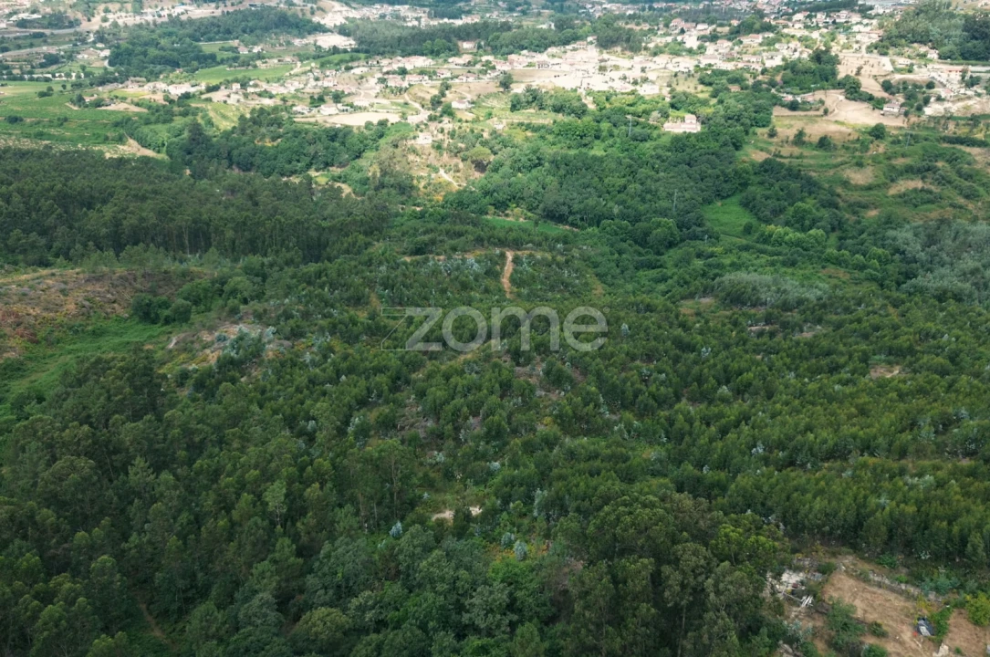 Terreno para Venda em Banho e Carvalhosa Foto 5
