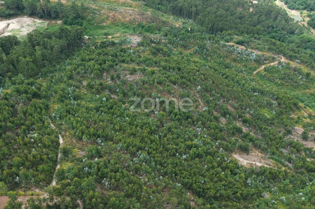 Terreno para Venda em Banho e Carvalhosa Foto 2