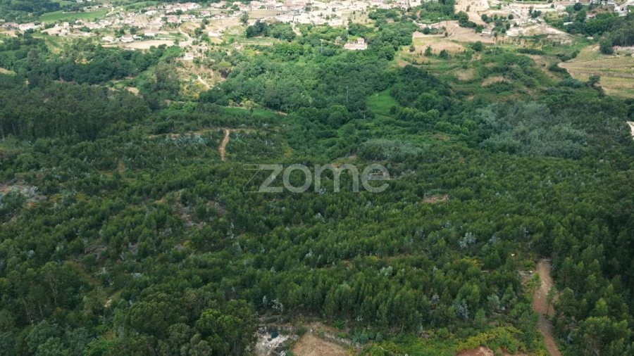 Terreno para Venda em Banho e Carvalhosa