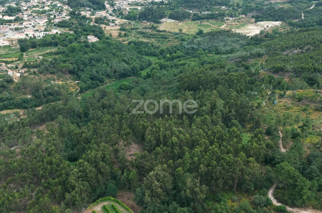 Terreno para Venda em Vila Caiz Foto 4