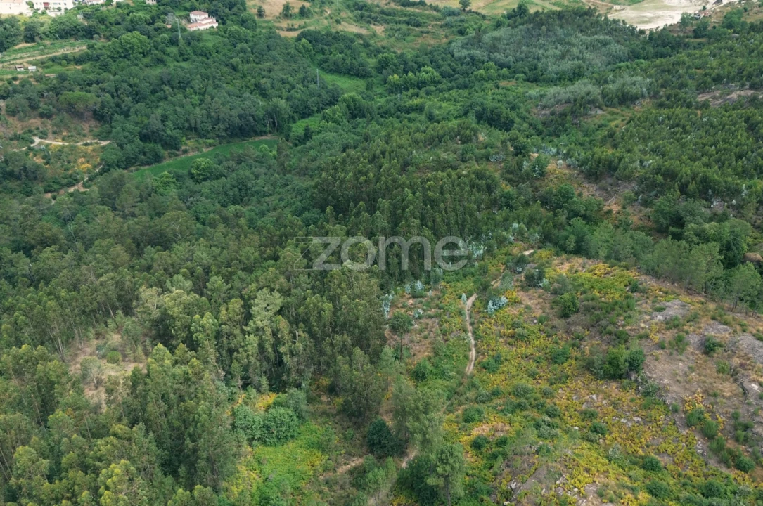 Terreno para Venda em Vila Caiz Foto 6