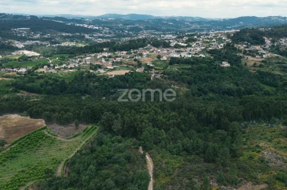 Terreno para Venda em Vila Caiz