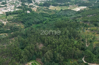Terreno para Venda em Vila Caiz