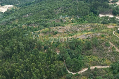 Terreno para Venda em Vila Caiz