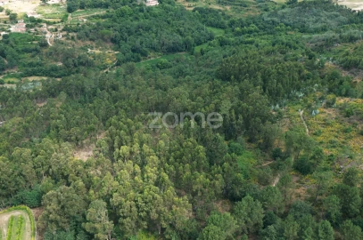 Terreno para Venda em Vila Caiz