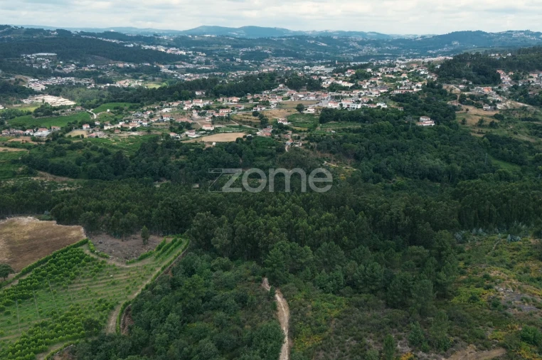 Terreno para Venda em Vila Caiz Foto 3