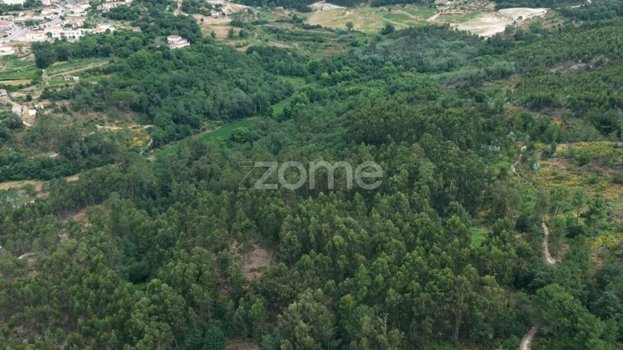 Terreno para Venda em Vila Caiz