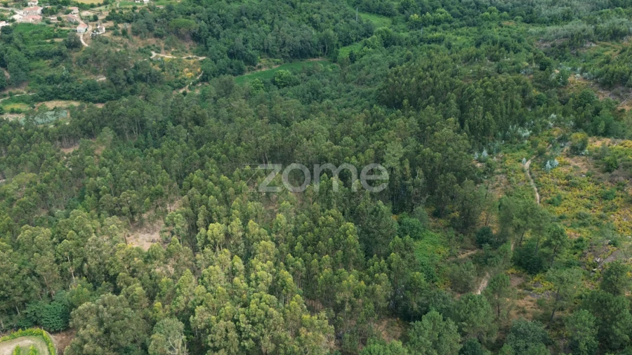 Terreno para Venda em Vila Caiz