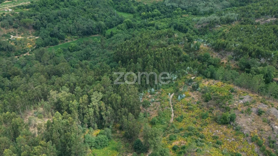 Terreno para Venda em Vila Caiz