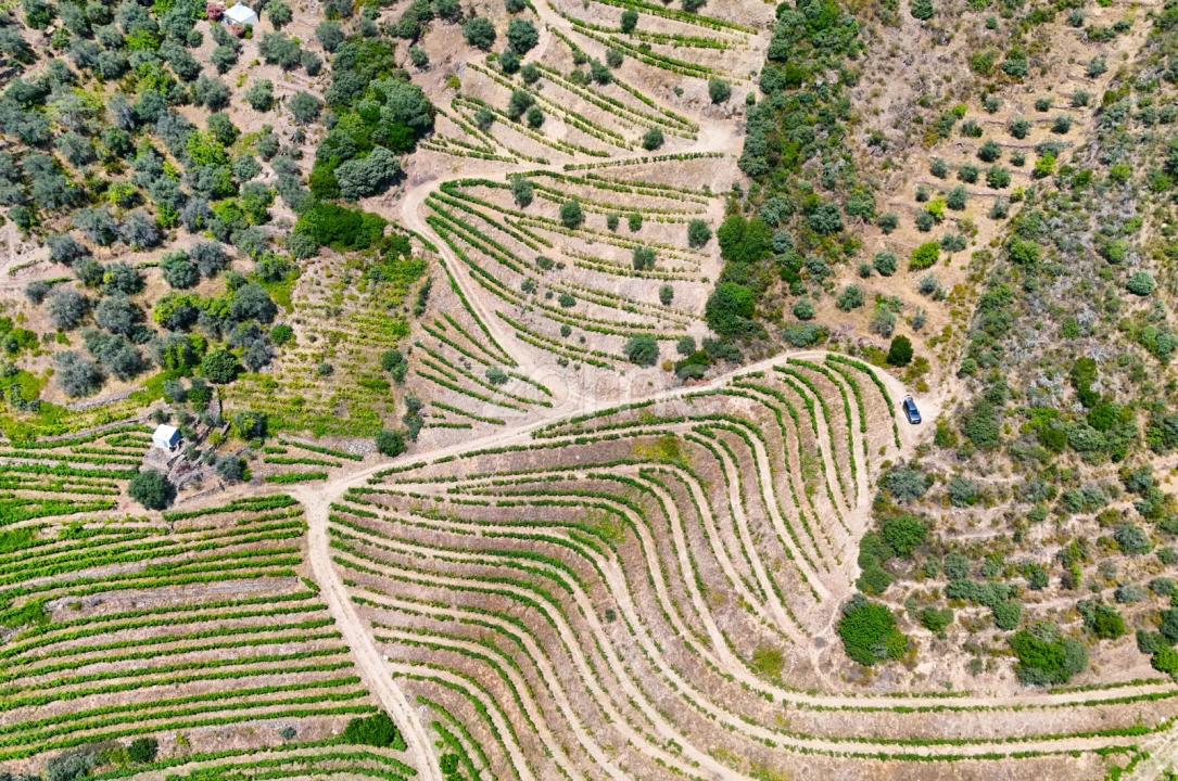 Terreno para Venda em Vale de Figueira Foto 18