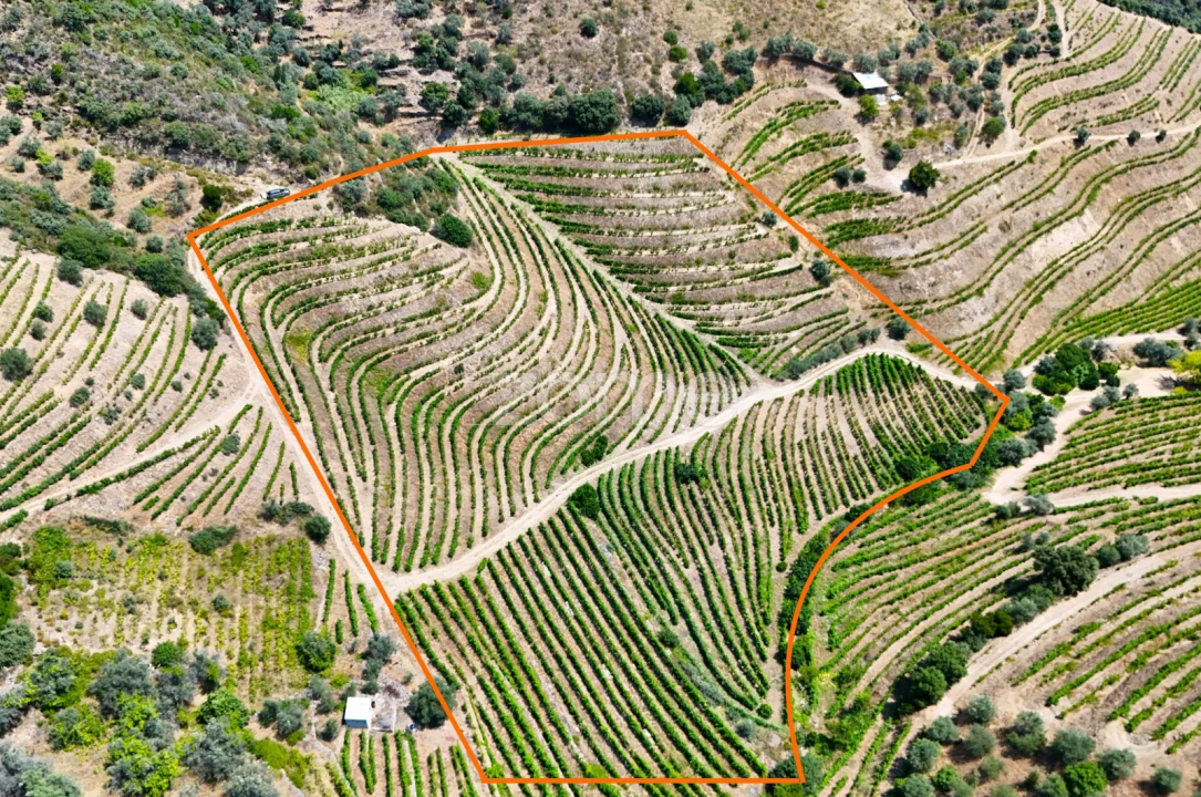 Terreno para Venda em Vale de Figueira Foto 1