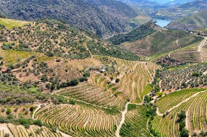 Terreno para Venda em Vale de Figueira