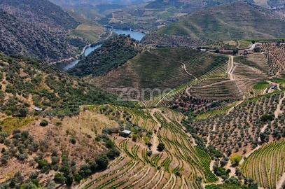 Terreno para Venda em Vale de Figueira