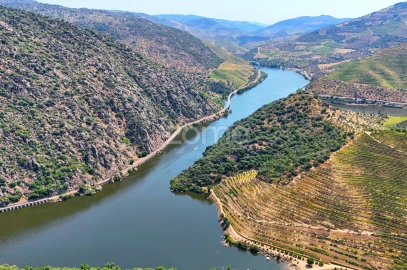 Terreno para Venda em Vale de Figueira