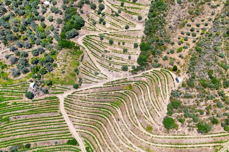 Terreno para Venda em Vale de Figueira Foto 18