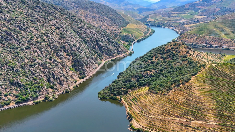Terreno para Venda em Vale de Figueira