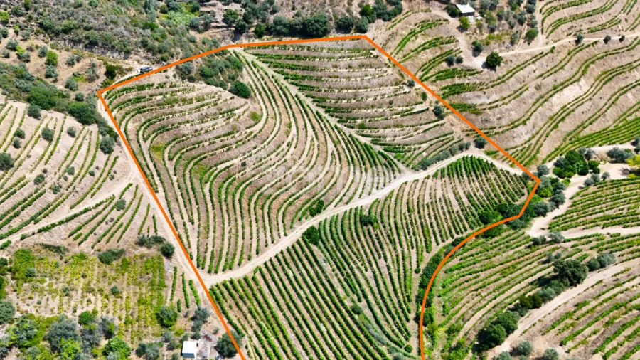 Terreno para Venda em Vale de Figueira