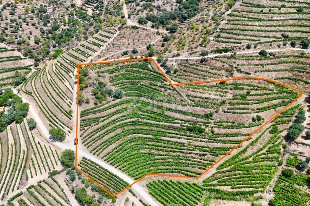 Terreno para Venda em Vale de Figueira Foto 1