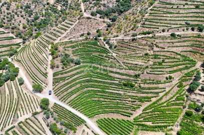 Terreno para Venda em Vale de Figueira