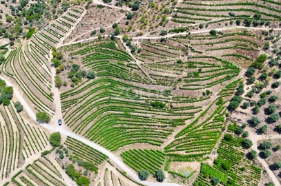 Terreno para Venda em Vale de Figueira