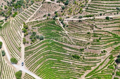 Terreno para Venda em Vale de Figueira