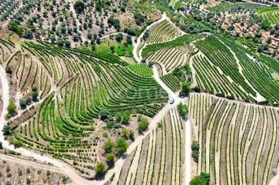 Terreno para Venda em Vale de Figueira