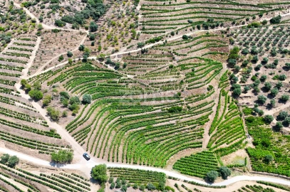Terreno para Venda em Vale de Figueira