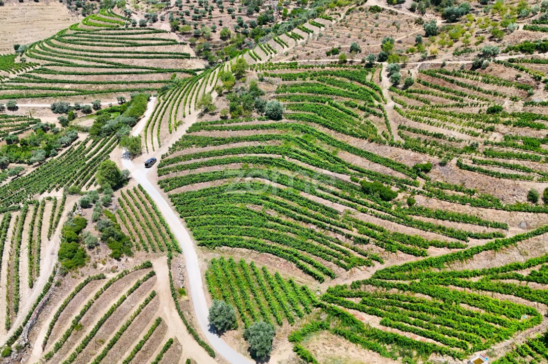 Terreno para Venda em Vale de Figueira Foto 5