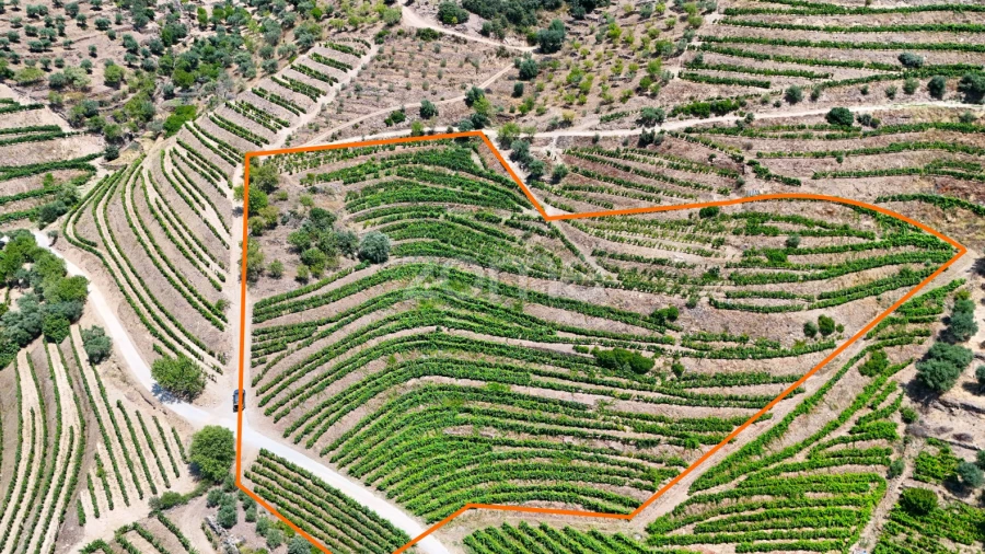 Terreno para Venda em Vale de Figueira