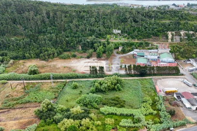 Negócio para Venda em Tavarede