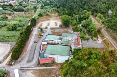 Negócio para Venda em Tavarede
