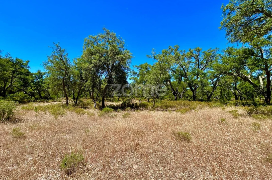 Terreno para Venda em Grândola e Santa Margarida da Serra Foto 15