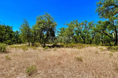 Terreno para Venda em Grândola e Santa Margarida da Serra