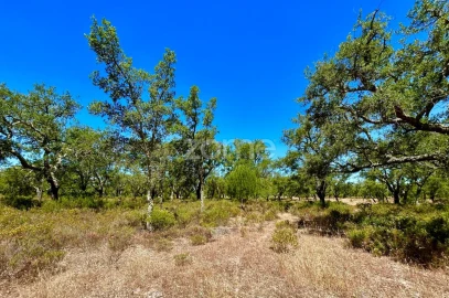 Terreno para Venda em Grândola e Santa Margarida da Serra