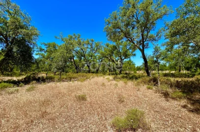 Terreno para Venda em Grândola e Santa Margarida da Serra